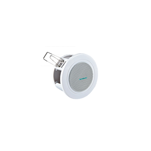 Celling Speaker